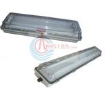 eYD51 proof fluorescent lamp series