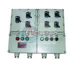 BXG52 series of explosion-proof lighting (power) distribution box