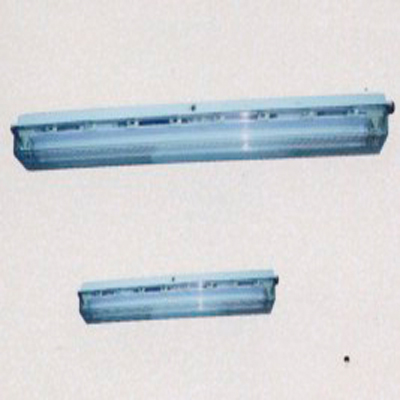 CeY-3/2×40×F2 Explosion Proof Fluorescent Lamp Set