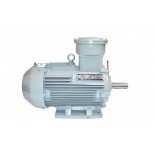 YB3-160-L  Explosion proof motor