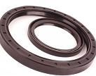 HG4-692-67 OIL SEAL (SD 220x260x18)