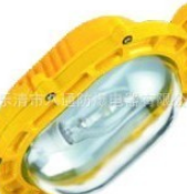 BC9100 Type Explosion-proof floodlight