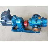 LCW-10/0.6 Roots Insulation Pump