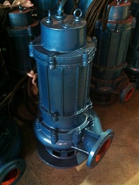 50QW30-10-2.2    QIS Submersible Sewage Pump