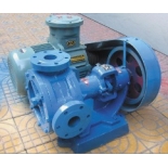 NCB-20/0.5    NCB High Viscosity Rotor Pump