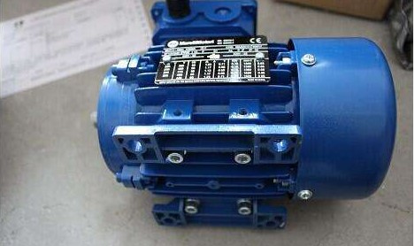 MAA 100LA4_B5，MarelliMotori，ELECTROMOTOR