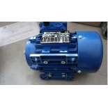 MAA 100LA4_B5，MarelliMotori，ELECTROMOTOR