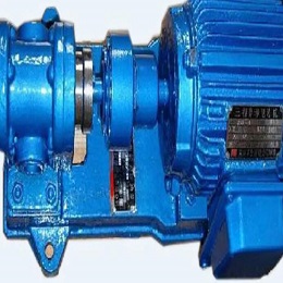 Gear pump 4900550085